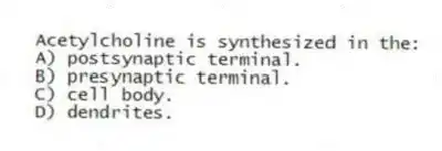 Acetylcholine is synthesized in the:
A) postsynaptic terminal.
B) presynaptic terminal.
C) cell body.
D) dendrites.