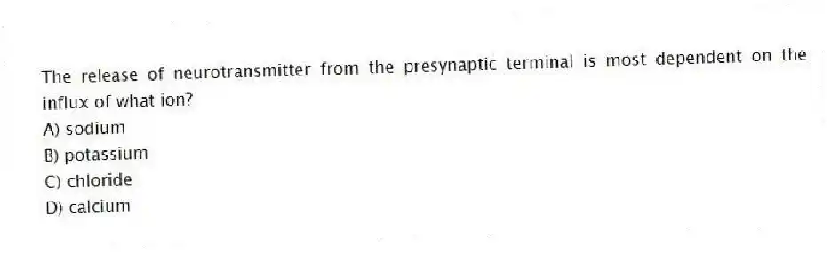 The release of neurotransmitter from the presynaptic terminal is most dependent on the influx of what ion?
A) sodium
B) potassium
C) chloride
D) calcium