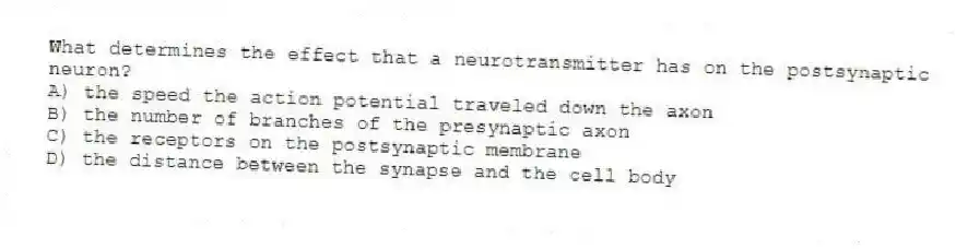 What determines the effect that a neurotransmitter has on the postsynaptic neuron?
A) the speed the action potential traveled down the axon
B) the number of branches of the presynaptic axon
C) the receptors on the postsynaptic membrane
D) the distance between the synapse and the cell body