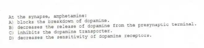 At the synapse, amphetamine:
A) blocks the breakdown of dopamine.
B) decreases the release of dopamine from the presynaptic terminal.
C) inhibits the dopamine transporter.
D) decreases the sensitivity of dopamine receptors.