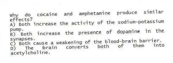 Why do cocaine and amphetamine produce similar effects?
A) Both increase the activity of the sodium-potassium pump.
B) Both increase the presence of dopamine in the synapses.
C) Both cause a weakening of the blood-brain barrier.
D) The brain converts both of them into acetylcholine.