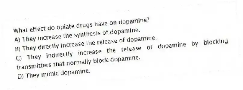 What effect do opiate drugs have on dopamine?
A) They increase the synthesis of dopamine.
B) They directly increase the release of dopamine.
C) They indirectly increase the release of dopamine by blocking transmitters that normally block dopamine.
D) They mimic dopamine.