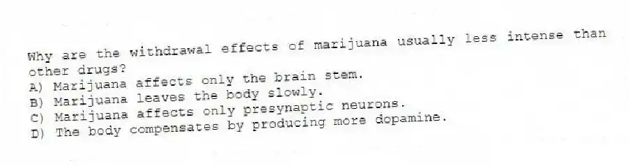 Why are the withdrawal effects of marijuana usually less intense than other drugs?
A) Marijuana affects only the brain stem.
B) Marijuana leaves the body slowly.
C) Marijuana affects only presynaptic neurons.
D) The body compensates by producing more dopamine.