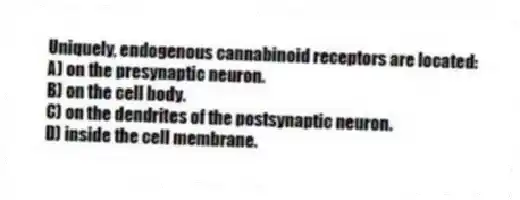 Uniquely, endogenous cannabinoid receptors are located:
A) on the presynaptic neuron.
B) on the cell body.
C) on the dendrites of the postsynaptic neuron.
D) inside the cell membrane.