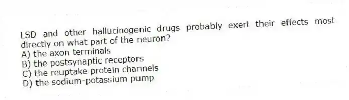 LSD and other hallucinogenic drugs probably exert their effects most directly on what part of the neuron?
A) the axon terminals
B) the postsynaptic receptors
C) the reuptake protein channels
D) the sodium-potassium pump