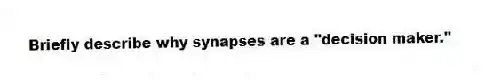 Briefly describe why synapses are a "decision maker."