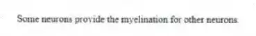 Some neurons provide the myelination for other neurons.