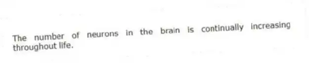 The number of neurons in the brain is continually increasing throughout life.