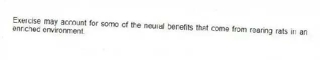 Exercise may account for some of the neural benefits that come from rearing rats in an enriched environment.