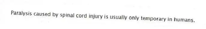 Paralysis caused by spinal cord injury is usually only temporary in humans.