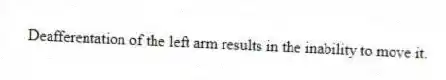 Deafferentation of the left arm results in the inability to move it.