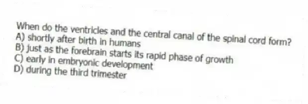 When do the ventricles and the central canal of the spinal cord form?
A) shortly after birth in humans
B) just as the forebrain starts its rapid phase of growth
C) early in embryonic development
D) during the third trimester