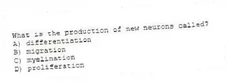 What is the production of new neurons called?
A) differentiation
B) migration
C) myelination
D) proliferation