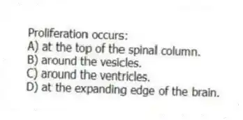 Proliferation occurs:
A) at the top of the spinal column.
B) around the vesicles.
C) around the ventricles.
D) at the expanding edge of the brain.
