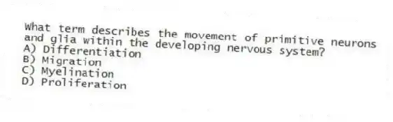 What term describes the movement of primitive neurons and glia within the developing nervous system?
A) Differentiation
B) Migration
C) Myelination
D) Proliferation