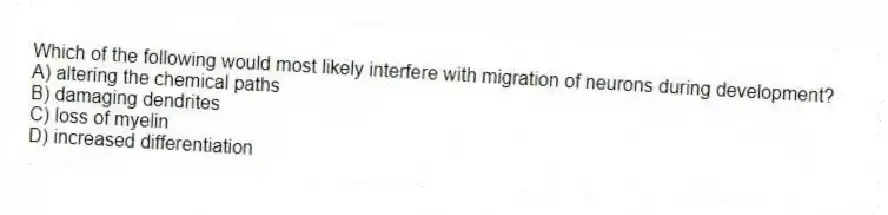 Which of the following would most likely interfere with migration of neurons during development?
A) altering the chemical paths
B) damaging dendrites
C) loss of myelin
D) increased differentiation