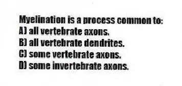 Myelination is a process common to:
A) all vertebrate axons.
B) all vertebrate dendrites.
C) some vertebrate axons.
D) some invertebrate axons.