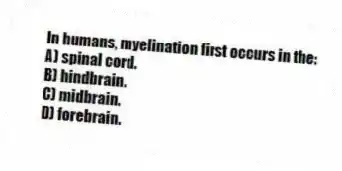 In humans, myelination first occurs in the:
A) spinal cord.
B) hindbrain.
C) midbrain.
D) forebrain.