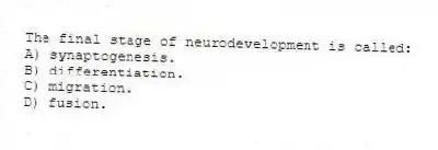 The final stage of neurodevelopment is called:
A) synaptogenesis.
B) differentiation.
C) migration.
D) fusion.