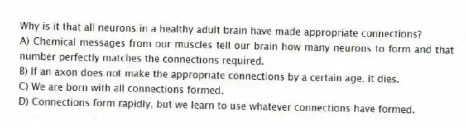 Why is it that all neurons in a healthy adult brain have made appropriate connections?
A) Chemical messages from our muscles tell our brain how many neurons to form and that number perfectly matches the connections required.
B) If an axon does not make the appropriate connections by a certain age, it dies.
C) We are born with all connections formed.
D) Connections form rapidly, but we learn to use whatever connections have formed.