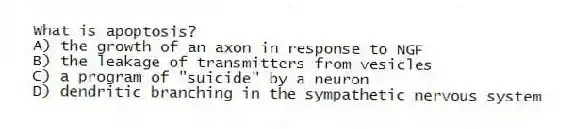 What is apoptosis?
A) the growth of an axon in response to NGF
B) the leakage of transmitters from vesicles
C) a program of "suicide" by a neuron
D) dendritic branching in the sympathetic nervous system