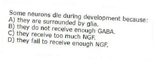 Some neurons die during development because:
A) they are surrounded by glia.
B) they do not receive enough GABA.
C) they receive too much NGF.
D) they fail to receive enough NGF.