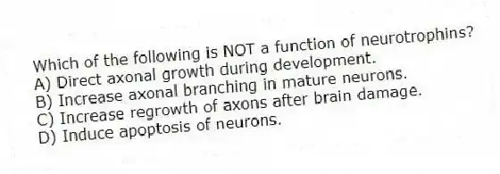 Which of the following is NOT a function of neurotrophins?
A) Direct axonal growth during development.
B) Increase axonal branching in mature neurons.
C) Increase regrowth of axons after brain damage.
D) Induce apoptosis of neurons.