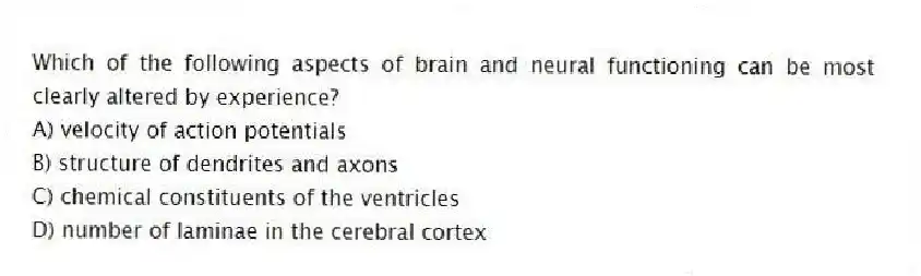 Which of the following aspects of brain and neural functioning can be most clearly altered by experience?
A) velocity of action potentials
B) structure of dendrites and axons
C) chemical constituents of the ventricles
D) number of laminae in the cerebral cortex