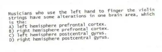 Musicians who use the left hand to finger the violin strings have some alterations in one brain area, which is the:
A) left hemisphere prefrontal cortex.
B) right hemisphere prefrontal cortex.
C) left hemisphere postcentral gyrus.
D) right hemisphere postcentral gyrus.