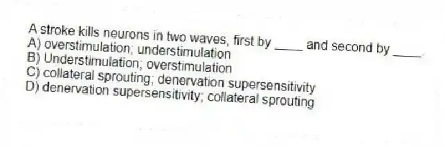 A stroke kills neurons in two waves, first by ____ and second by ____.
A) overstimulation; understimulation
B) Understimulation; overstimulation
C) collateral sprouting; denervation supersensitivity
D) denervation supersensitivity; collateral sprouting