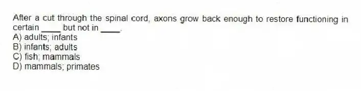 After a cut through the spinal cord, axons grow back enough to restore functioning in certain ____ but not in ____.
A) adults; infants
B) infants; adults
C) fish; mammals
D) mammals; primates