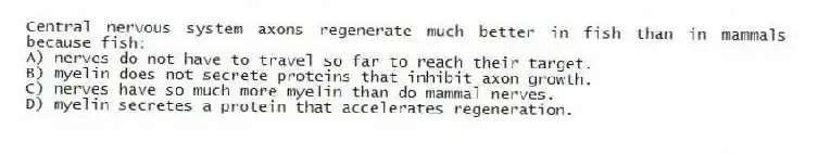 Central nervous system axons regenerate much better in fish than in mammals because fish:
A) nerves do not have to travel so far to reach their target.
B) myelin does not secrete proteins that inhibit axon growth.
C) nerves have so much more myelin than do mammal nerves.
D) myelin secretes a protein that accelerates regeneration.