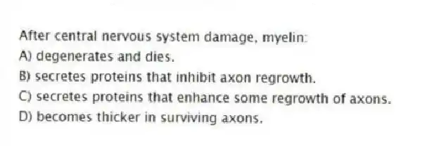 After central nervous system damage, myelin:
A) degenerates and dies.
B) secretes proteins that inhibit axon regrowth.
C) secretes proteins that enhance some regrowth of axons.
D) becomes thicker in surviving axons.