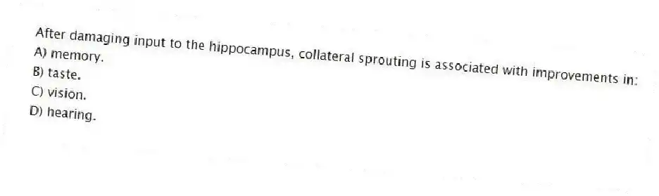 After damaging input to the hippocampus, collateral sprouting is associated with improvements in:
A) memory.
B) taste.
C) vision.
D) hearing.