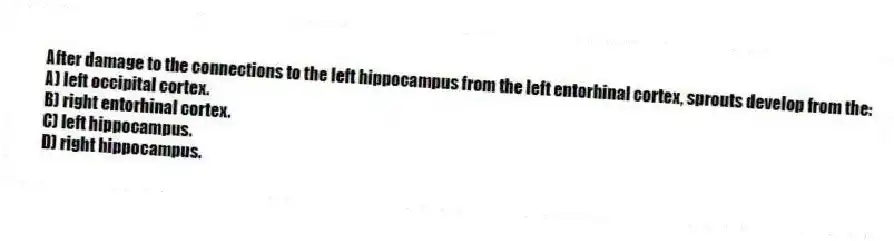 After damage to the connections to the left hippocampus from the left entorhinal cortex, sprouts develop from the:
A) left occipital cortex.
B) right entorhinal cortex.
C) left hippocampus.
D) right hippocampus.