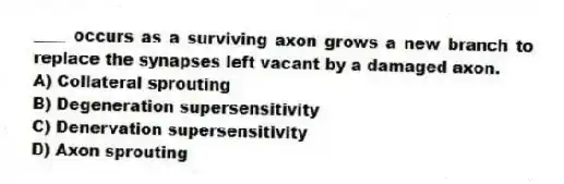 ____ occurs as a surviving axon grows a new branch to replace the synapses left vacant by a damaged axon.
A) Collateral sprouting
B) Degeneration supersensitivity
C) Denervation supersensitivity
D) Axon sprouting