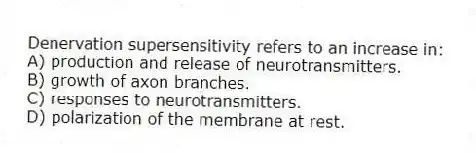 Denervation supersensitivity refers to an increase in:
A) production and release of neurotransmitters.
B) growth of axon branches.
C) responses to neurotransmitters.
D) polarization of the membrane at rest.