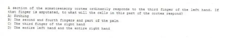 A section of the somatosensory cortex ordinarily responds to the third finger of the left hand. If that finger is amputated, to what will the cells in this part of the cortex respond?
A) Nothing
B) The second and fourth fingers and part of the palm
C) The third finger of the right hand
D) The entire left hand and the entire right hand