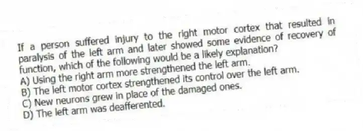 If a person suffered injury to the right motor cortex that resulted in paralysis of the left arm and later showed some evidence of recovery of function, which of the following would be a likely explanation?
A) Using the right arm more strengthened the left arm.
B) The left motor cortex strengthened its control over the left arm.
C) New neurons grew in place of the damaged ones.
D) The left arm was deafferented.