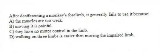 After deafferenting a monkey's forelimb, it generally fails to use it because:
A) the muscles are too weak.
B) moving it is painful.
C) they have no motor control in the limb.
D) walking on three limbs is easier than moving the impaired limb.