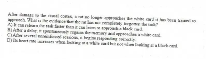 After damage to the visual cortex, a rat no longer approaches the white card it has been trained to approach. What is the evidence that the rat has not completely forgotten the task?
A) It can relearn the task faster than it can learn to approach a black card.
B) After a delay, it spontaneously regains the memory and approaches a white card.
C) After several unreinforced sessions, it begins responding correctly.
D) Its heart rate increases when looking at a white card but not when looking at a black card.