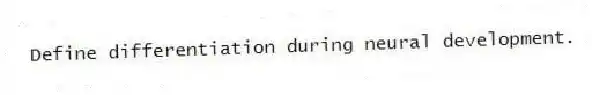 Define differentiation during neural development.
