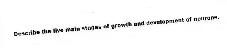 Describe the five main stages of growth and development of neurons.