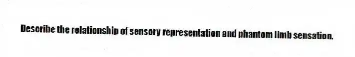 Describe the relationship of sensory representation and phantom limb sensation.