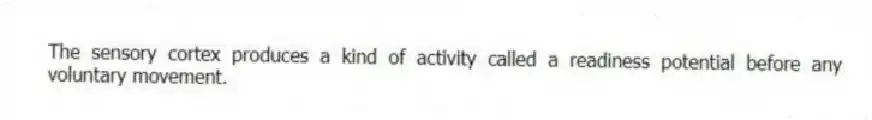 The sensory cortex produces a kind of activity called a readiness potential before any voluntary movement.