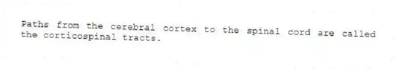Paths from the cerebral cortex to the spinal cord are called the corticospinal tracts.
