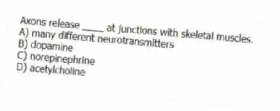 Axons release ____ at junctions with skeletal muscles.
A) many different neurotransmitters
B) dopamine
C) norepinephrine
D) acetylcholine
