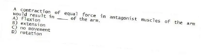 A contraction of equal force in antagonist muscles of the arm would result in ____ of the arm.
A) flexion
B) extension
C) no movement
D) rotation
