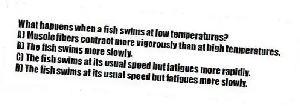 What happens when a fish swims at low temperatures?
A) Muscle fibers contract more vigorously than at high temperatures.
B) The fish swims more slowly.
C) The fish swims at its usual speed but fatigues more rapidly.
D) The fish swims at its usual speed but fatigues more slowly.