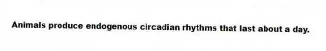 Animals produce endogenous circadian rhythms that last about a day.